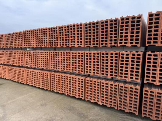 İçi Boş Blok ve Duvar Paneli için Kil Tuğla Üretim Hattı Kurutma ve Pişirme Sistemi Teknolojisi